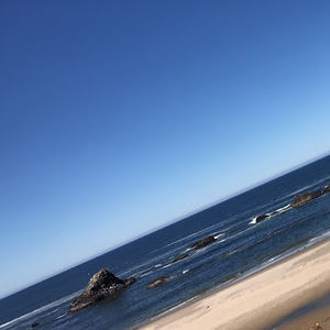 Meet your Posher, Brayden